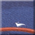 droppedImage_3